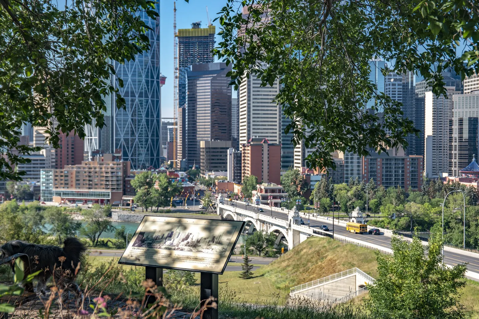 Centre Street Bridge and downtown from a lookout